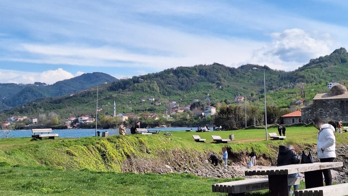 Ordu Yason