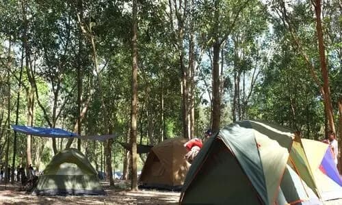Kamp